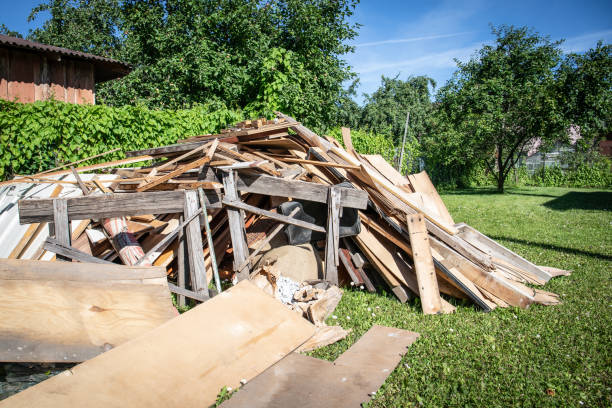 Professional Junk Removal  in South Elgin, IL